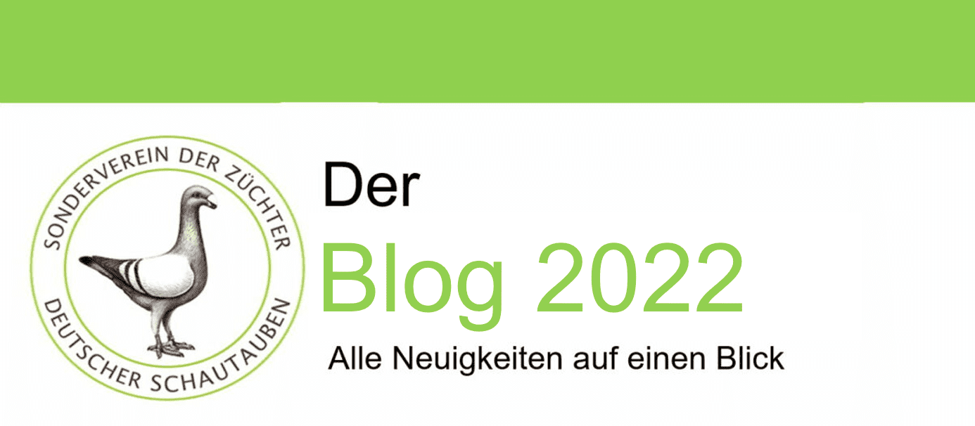 Blog2022